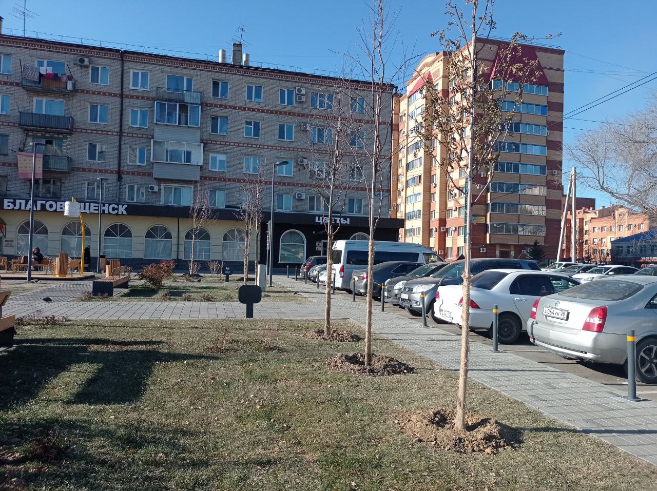 Новые крупномеры готовят к зиме в сквере «Бабочка» Новые крупномеры готовят к зиме в сквере «Бабочка»