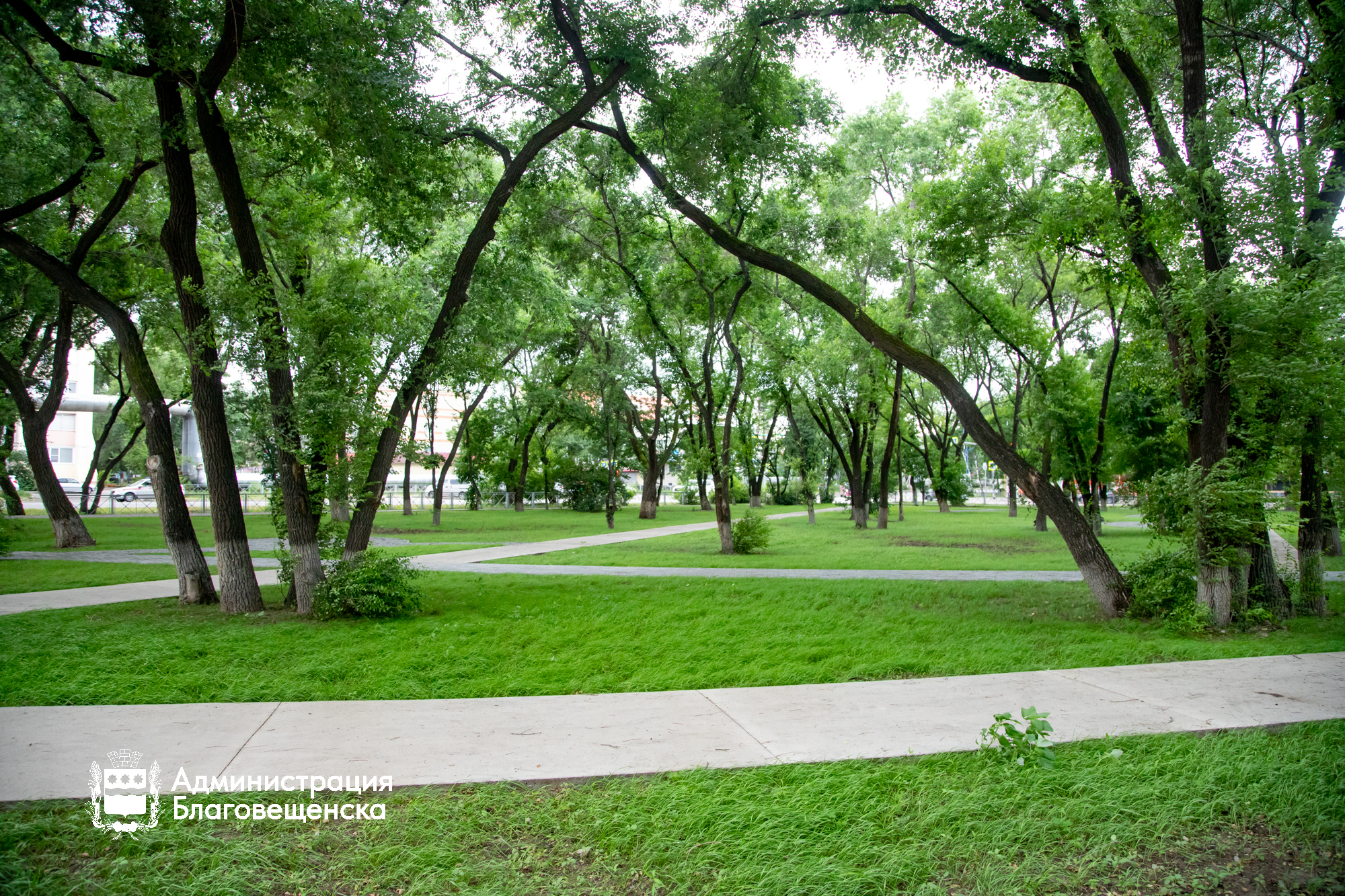 Прогноз погоды в Благовещенске на 19 августа:  Прогноз погоды в Благовещенске на 19 августа: