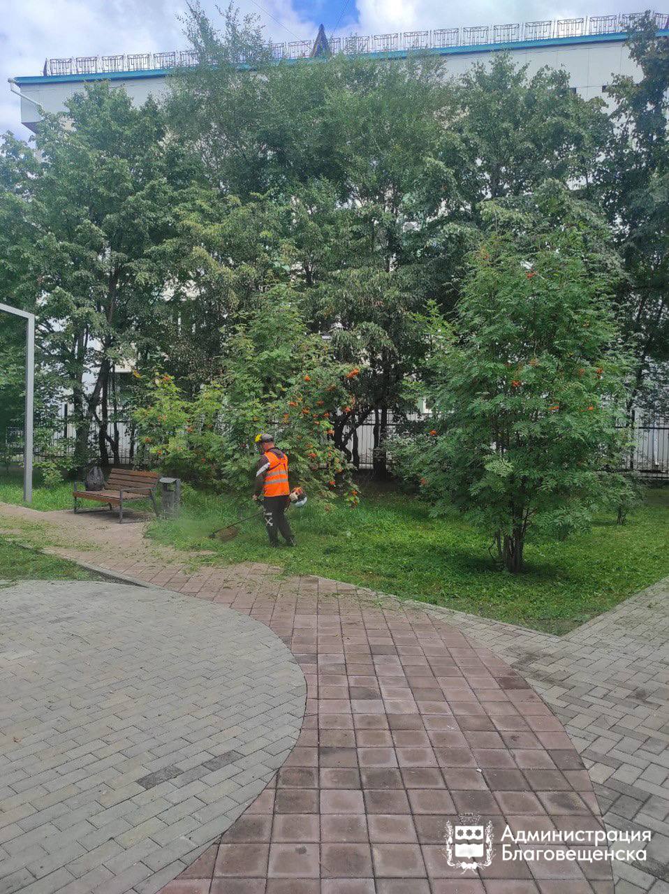 Даже с приходом осени благовещенцы слышат звуки работающих газонокосилок Даже с приходом осени благовещенцы слышат звуки работающих газонокосилок