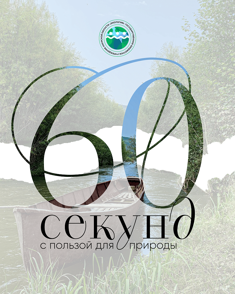 Благовещенцев приглашают к участию в конкурсе эко-роликов