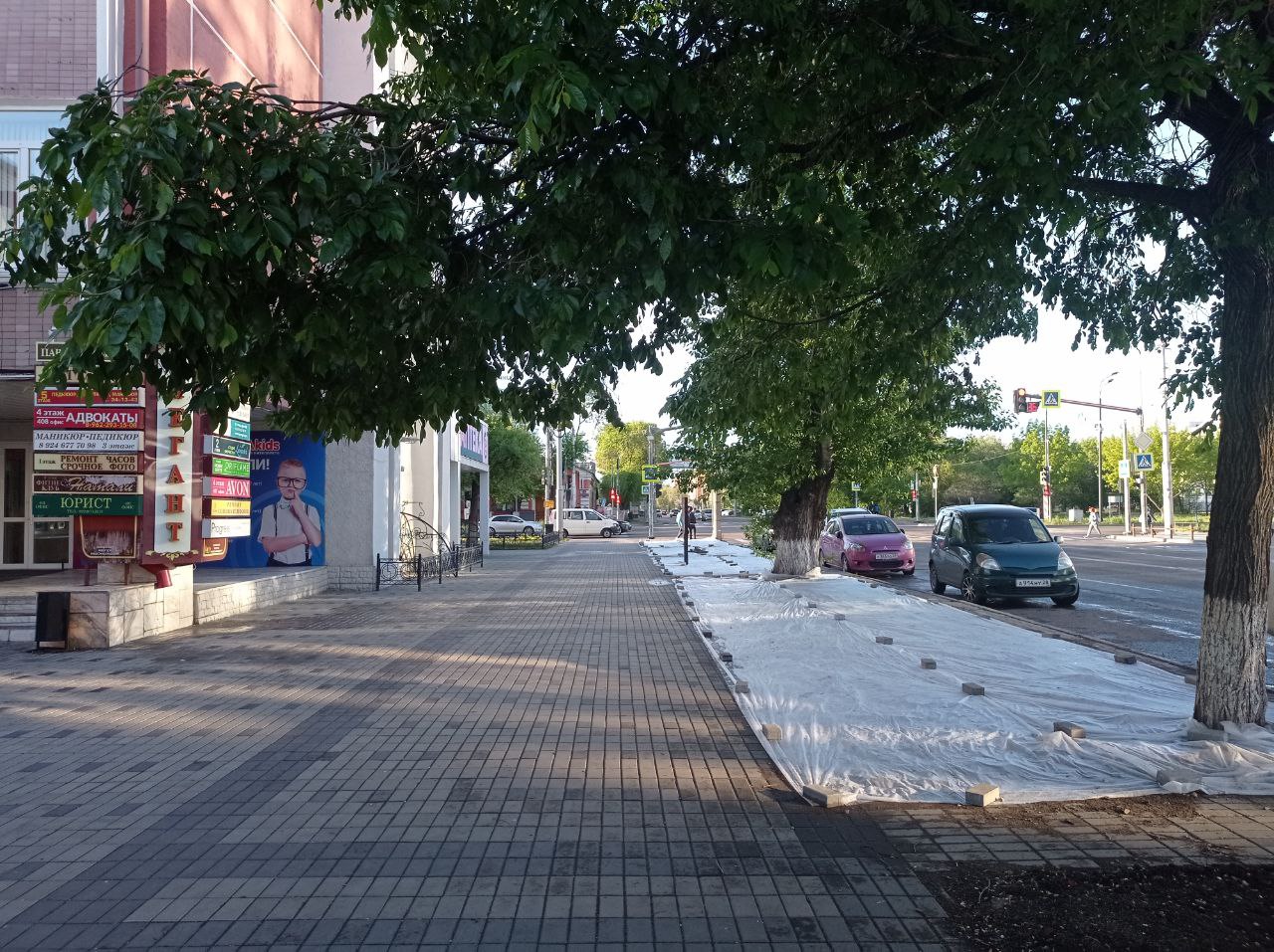 Благодаря предпринимателю в центре Благовещенска вырастет почти 200 «квадратов» газона Благодаря предпринимателю в центре Благовещенска вырастет почти 200 «квадратов» газона