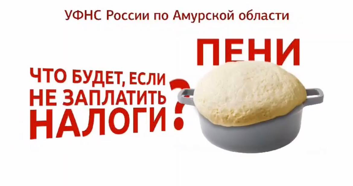 Как оплатить налог и узнать о задолженности, расскажут благовещенцам 