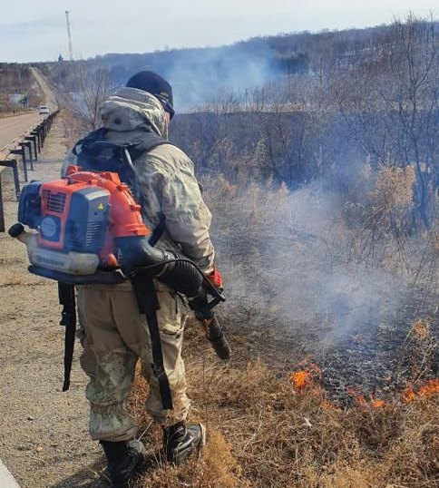 В Благовещенске тушили Астрахановские луга, Моховую Падь и Игнатьевское шоссе В Благовещенске тушили Астрахановские луга, Моховую Падь и Игнатьевское шоссе