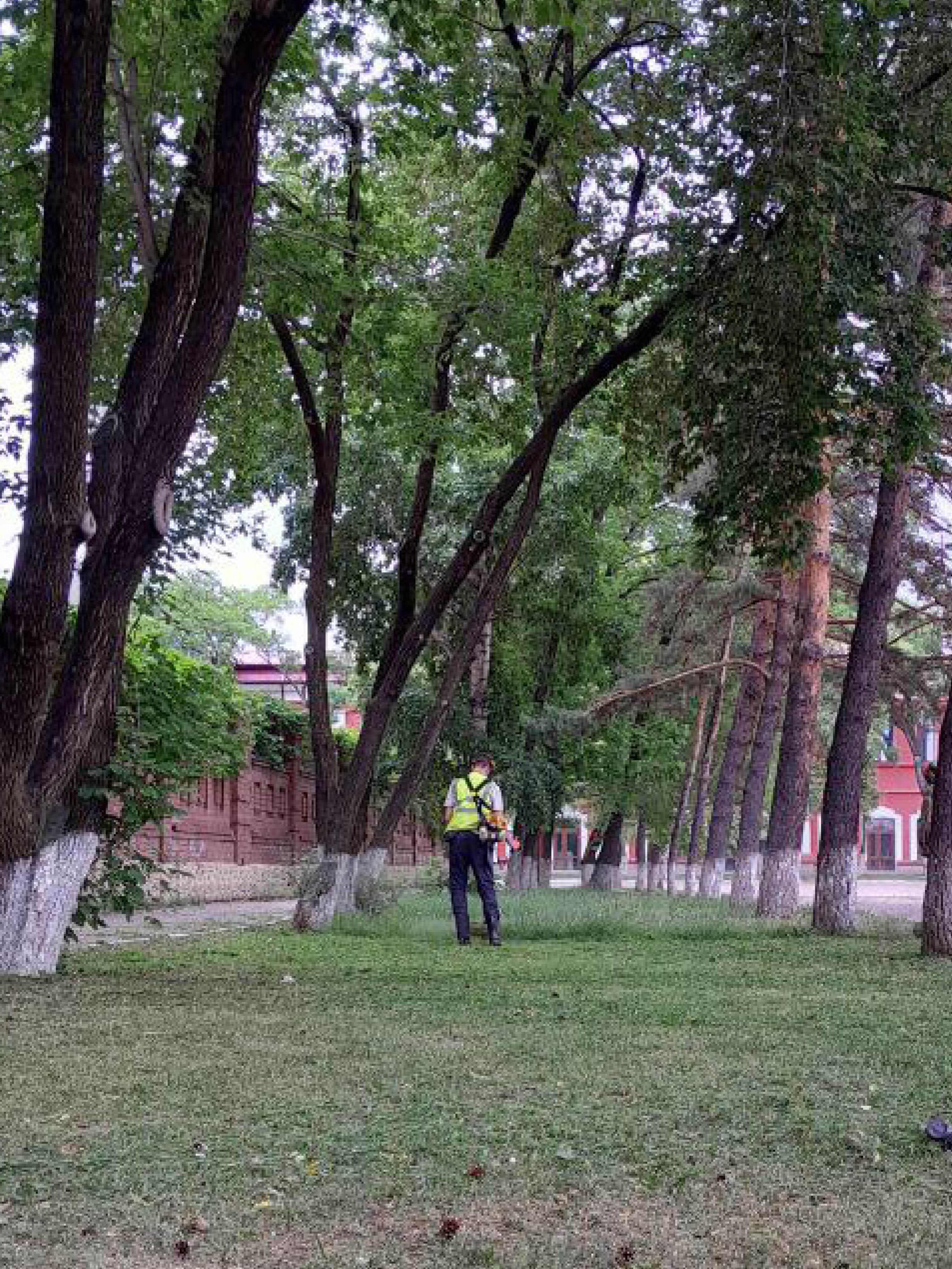 План островов благовещенск