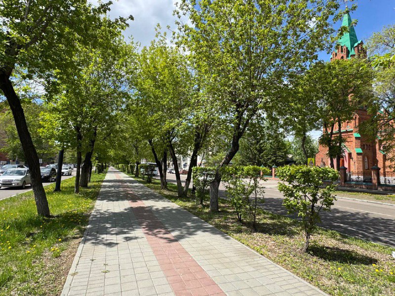Олег Имамеев призвал жителей соблюдать правила безопасности в аномальную жару Олег Имамеев призвал жителей соблюдать правила безопасности в аномальную жару