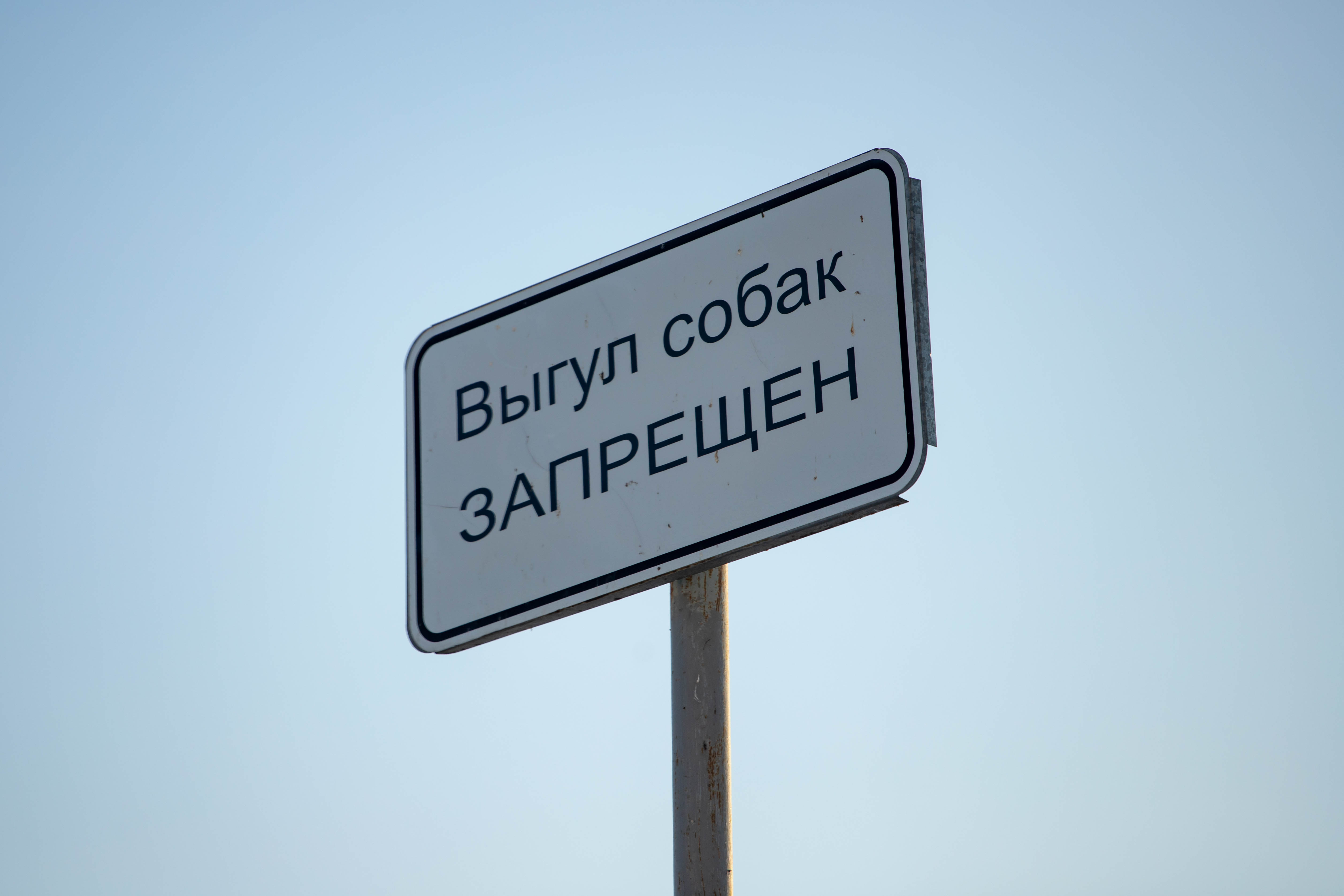 Благовещенцам рассказали, каких правил нужно придерживаться при выгуле питомцев Благовещенцам рассказали, каких правил нужно придерживаться при выгуле питомцев