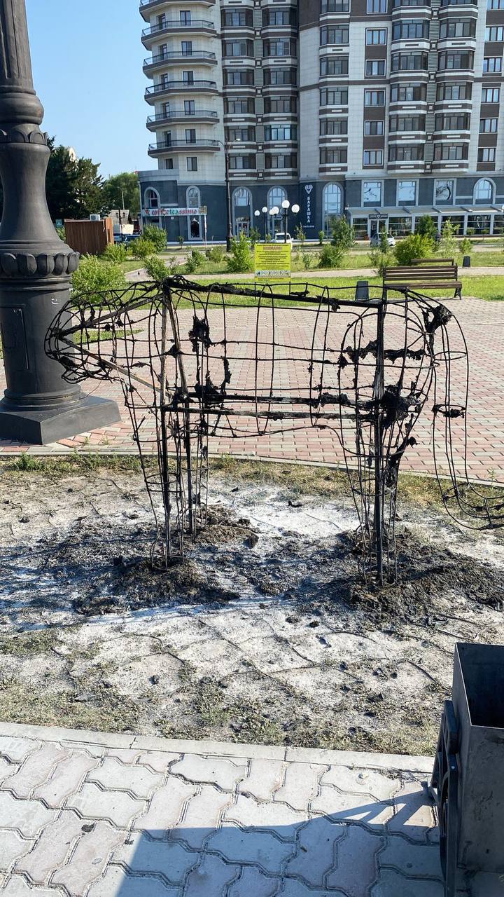 До трех месяцев ареста грозит благовещенцу, причастному к поджогу тигра на детской площадке До трех месяцев ареста грозит благовещенцу, причастному к поджогу тигра на детской площадке