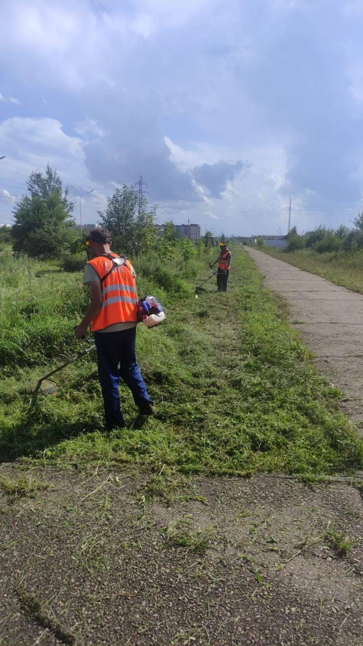 ГСТК продолжает косить траву в Благовещенске ГСТК продолжает косить траву в Благовещенске