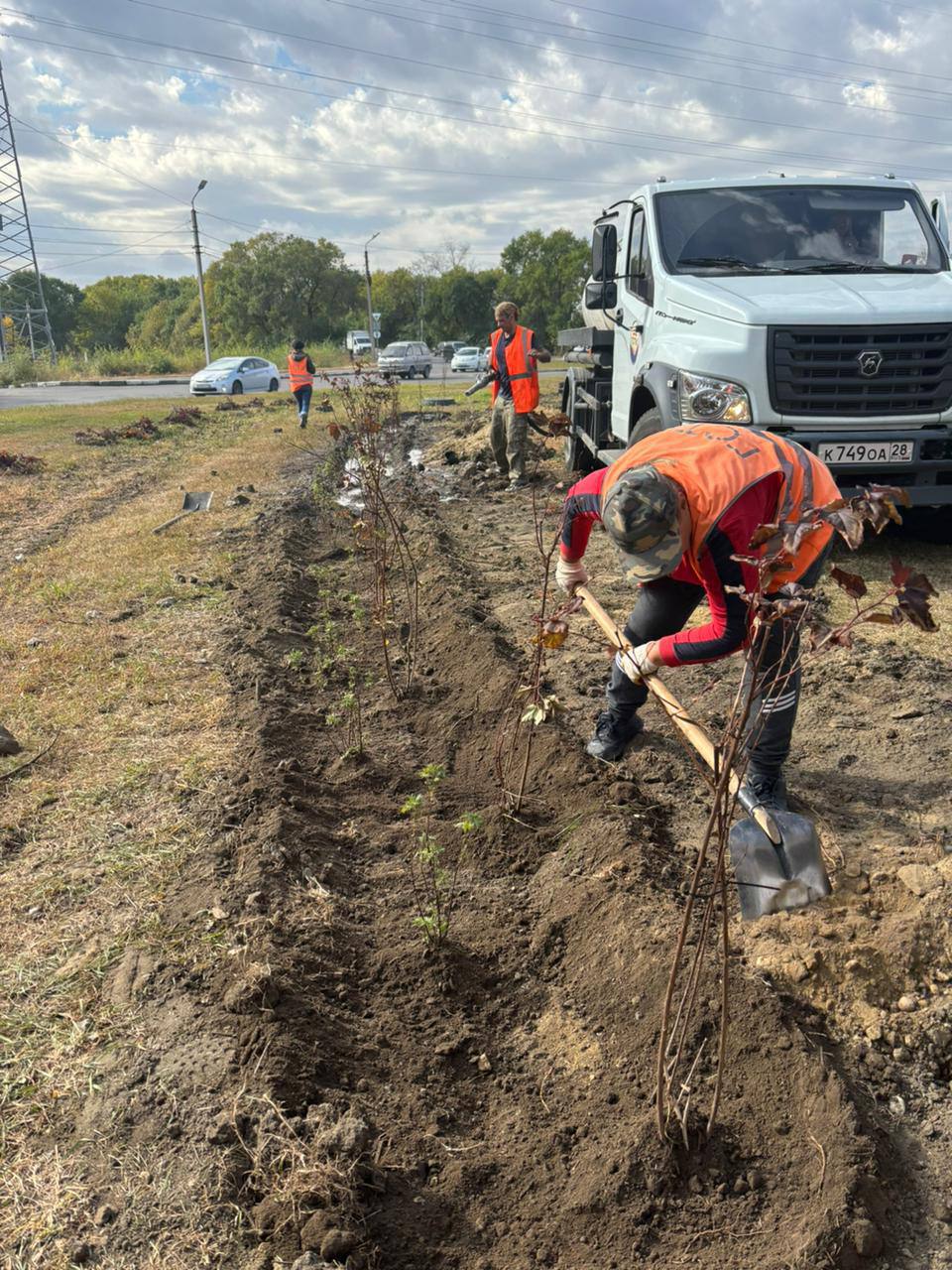 Курильский чай, пузыреплодник и колосняк: более 300 кустарников высадили на «Театральном кольце»