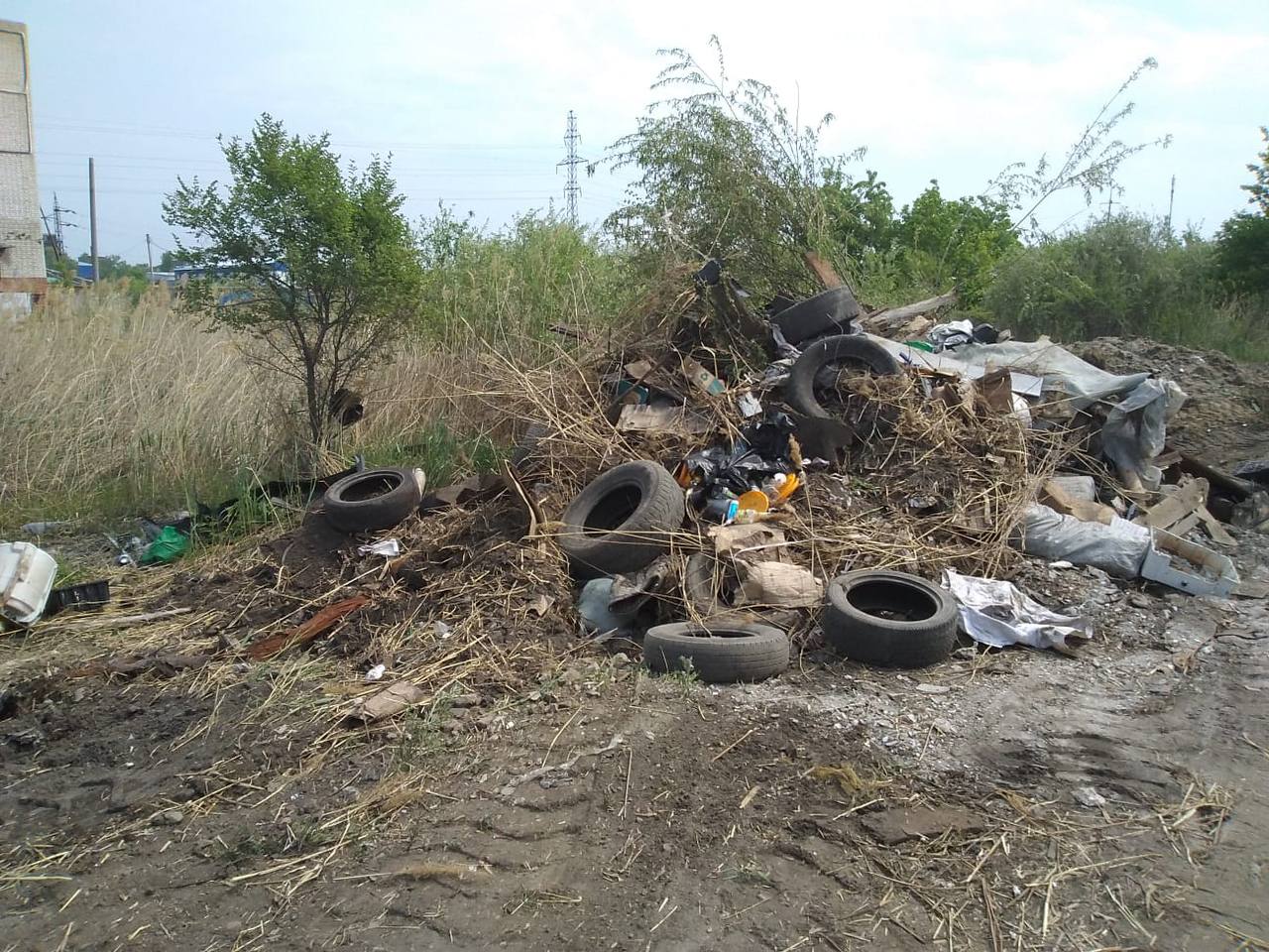 Почти полсотни несанкционированных свалок выявили в областном центре в этом году Почти полсотни несанкционированных свалок выявили в областном центре в этом году