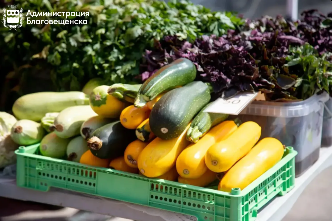 200 тысяч рублей штрафов выписали «предпринимателям» за незаконную торговлю на улицах Благовещенска 