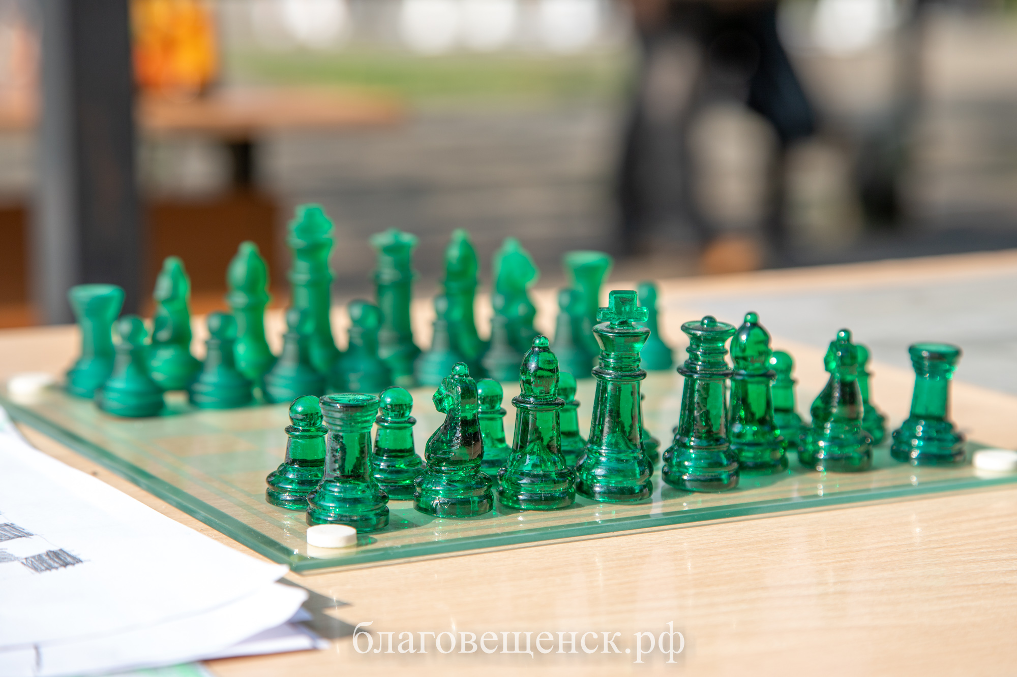 Научиться играть в шахматы и поучаствовать в научных экспериментах зовут благовещенцев в эти выходные 
