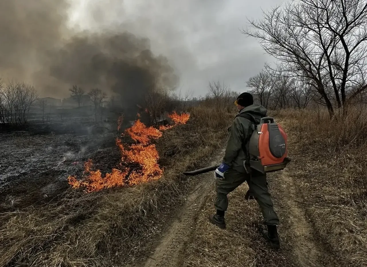21 пал ликвидировали в Благовещенске с начала особого противопожарного режима
