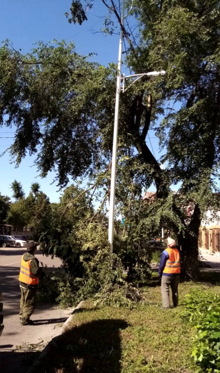 В Благовещенске ГСТК устраняет последствия ночного ветра