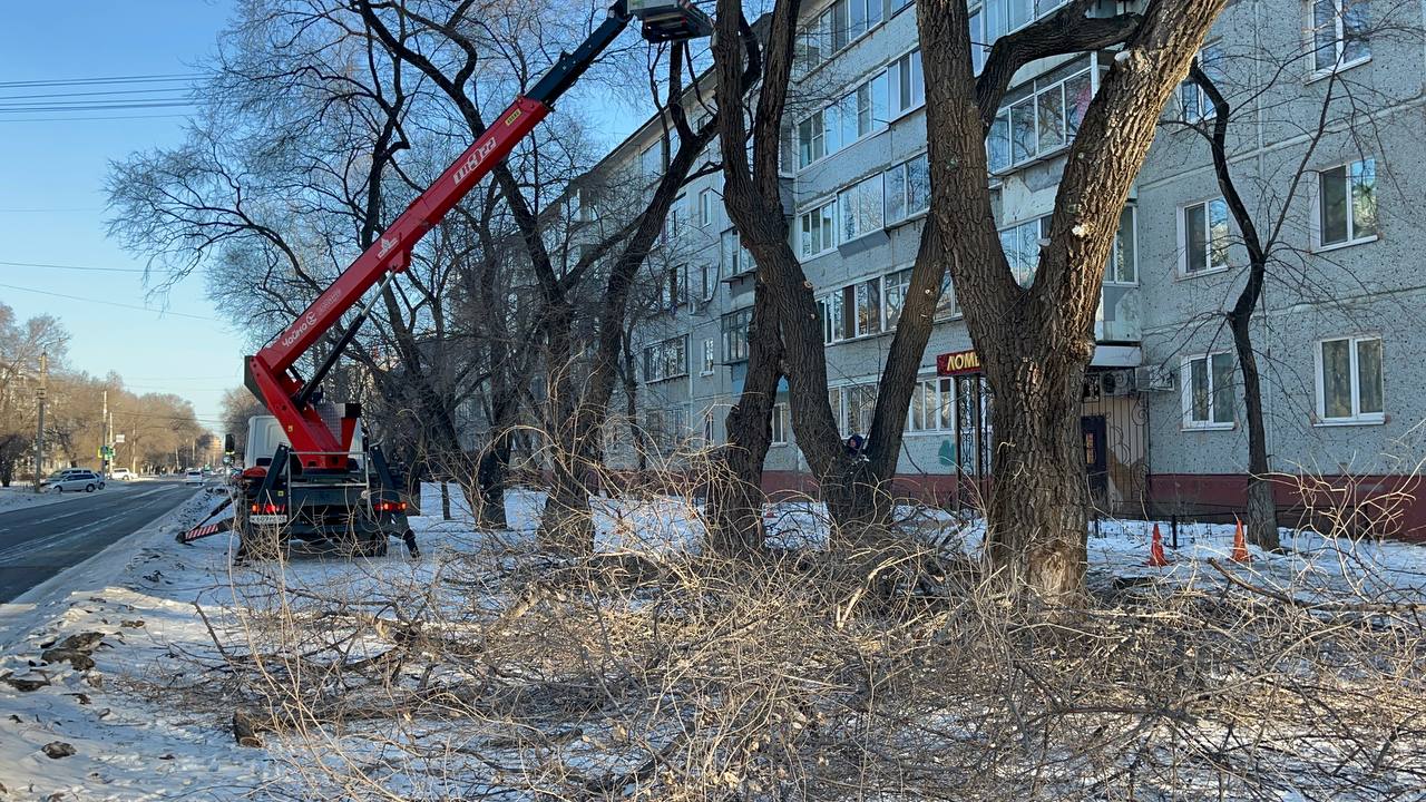 ГСТК убирает ветки, закрывающие обзор на дорогах Благовещенска ГСТК убирает ветки, закрывающие обзор на дорогах Благовещенска