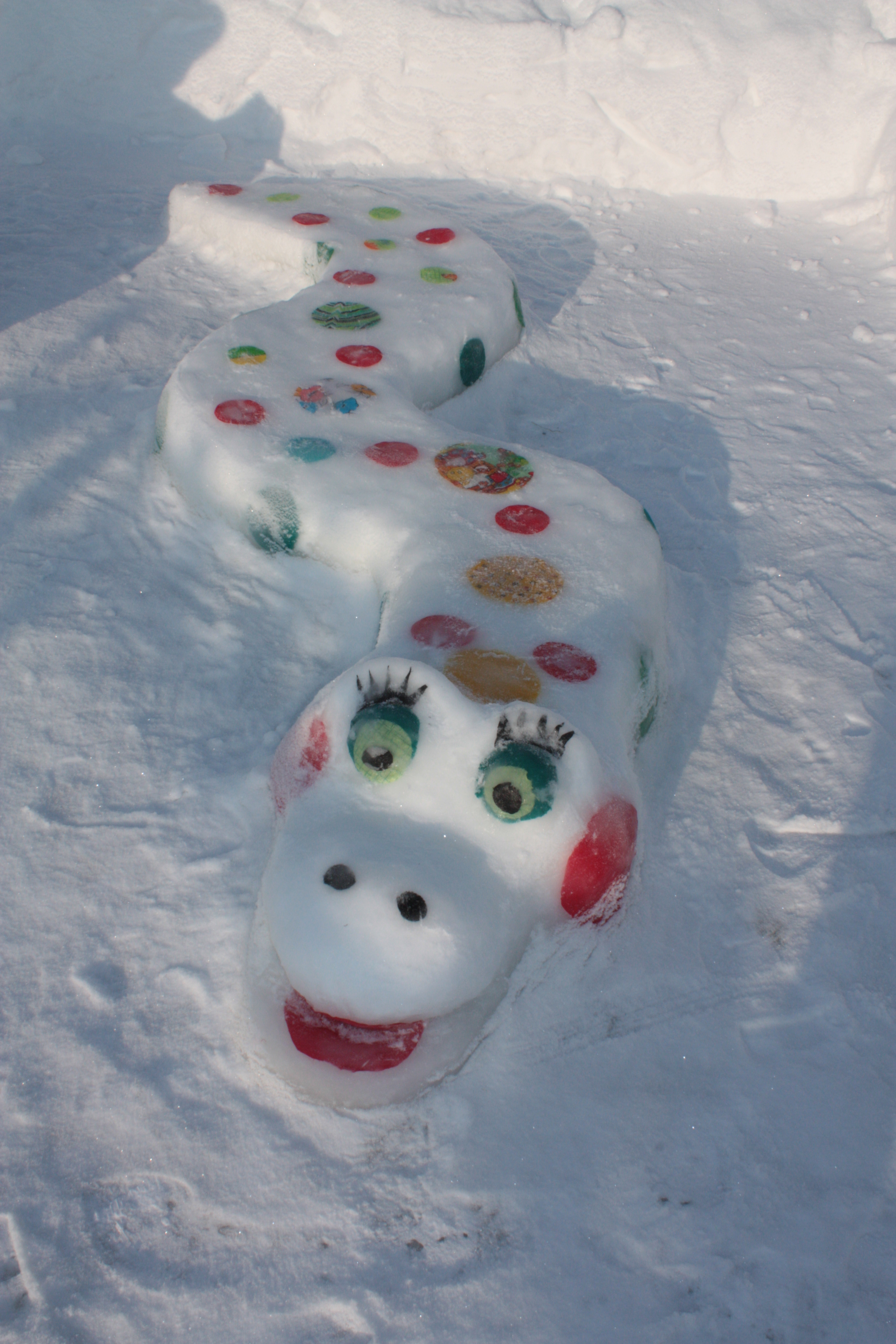 Креативные идеи для снежных фигур ждут от благовещенцев
