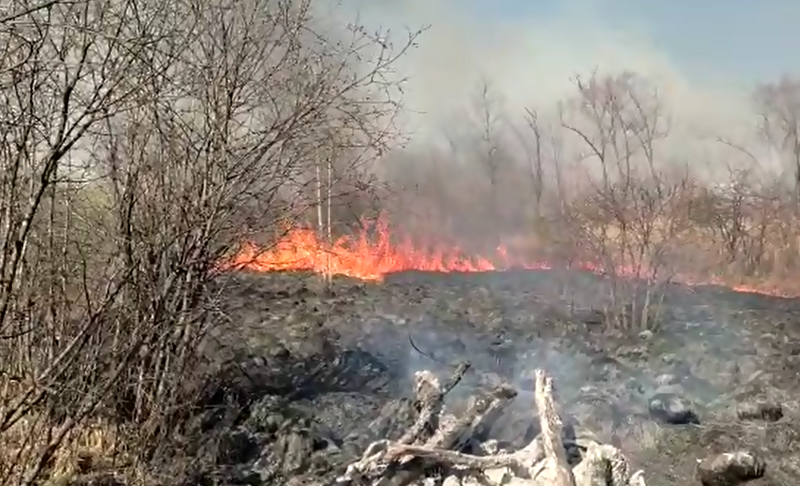 Более сотни пожаров потушили в Благовещенске с начала пожароопасного периода 