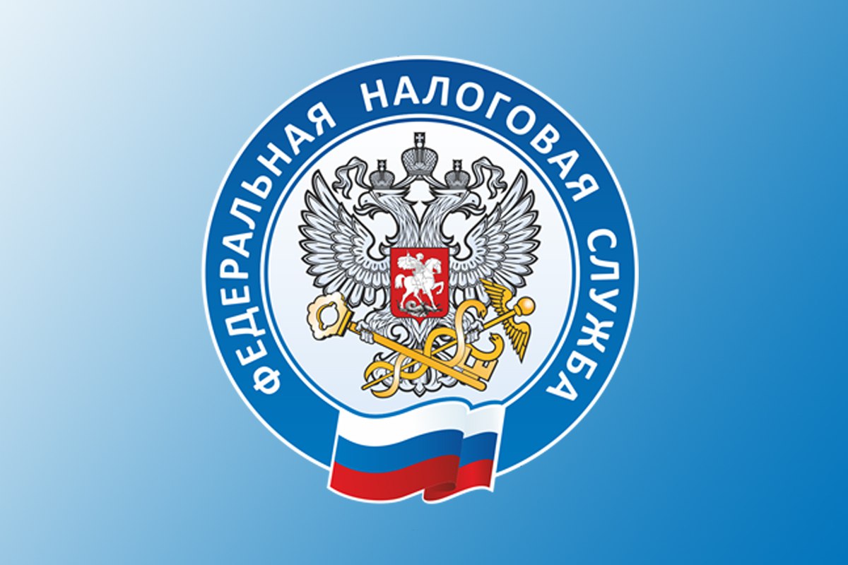 Налоговая сообщает: отчитаться о доходах благовещенцам необходимо до начала мая Налоговая сообщает: отчитаться о доходах благовещенцам необходимо до начала мая