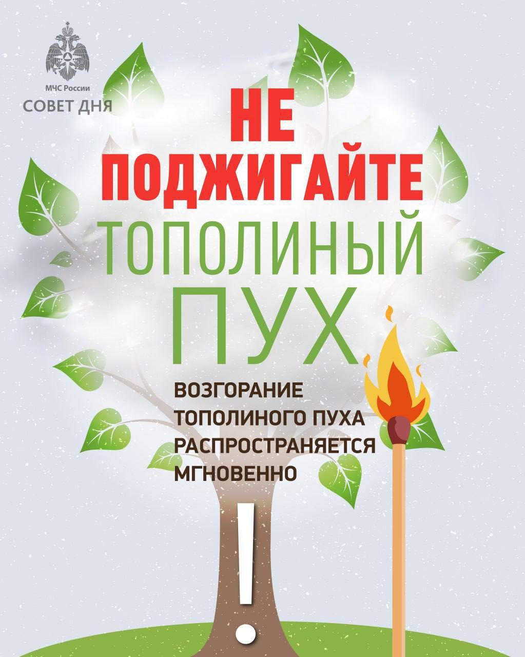 Тополиный пух, жара, июнь: об опасности быстрого возгорания летних снежинок предупреждают жителей областной столицы Тополиный пух, жара, июнь: об опасности быстрого возгорания летних снежинок предупреждают жителей областной столицы