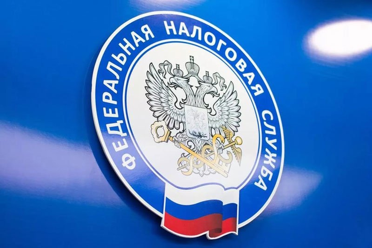 Более 45 тысяч запросов на формирование справок о состоянии ЕНС направлено в УФНС по Амурской области