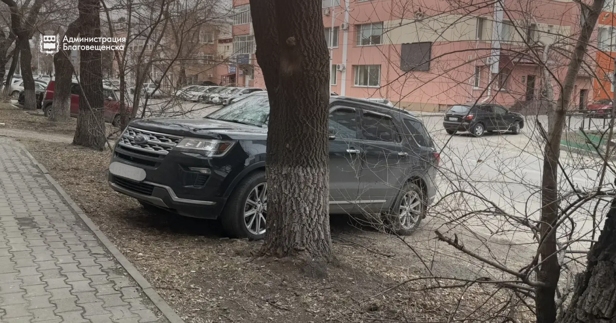 На 2,3 миллиона рублей наказали благовещенцев за неправильную парковку с начала года.
