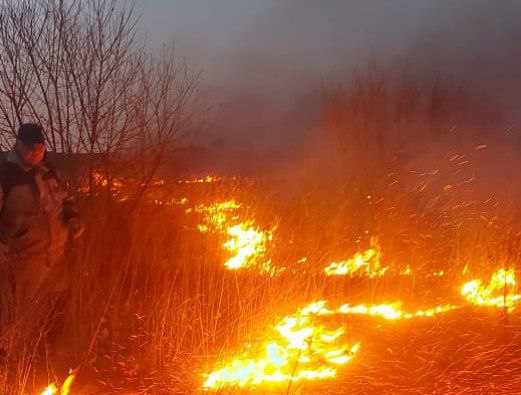 Почти 100 палов потушили на территории Благовещенска с начала пожароопасного сезона