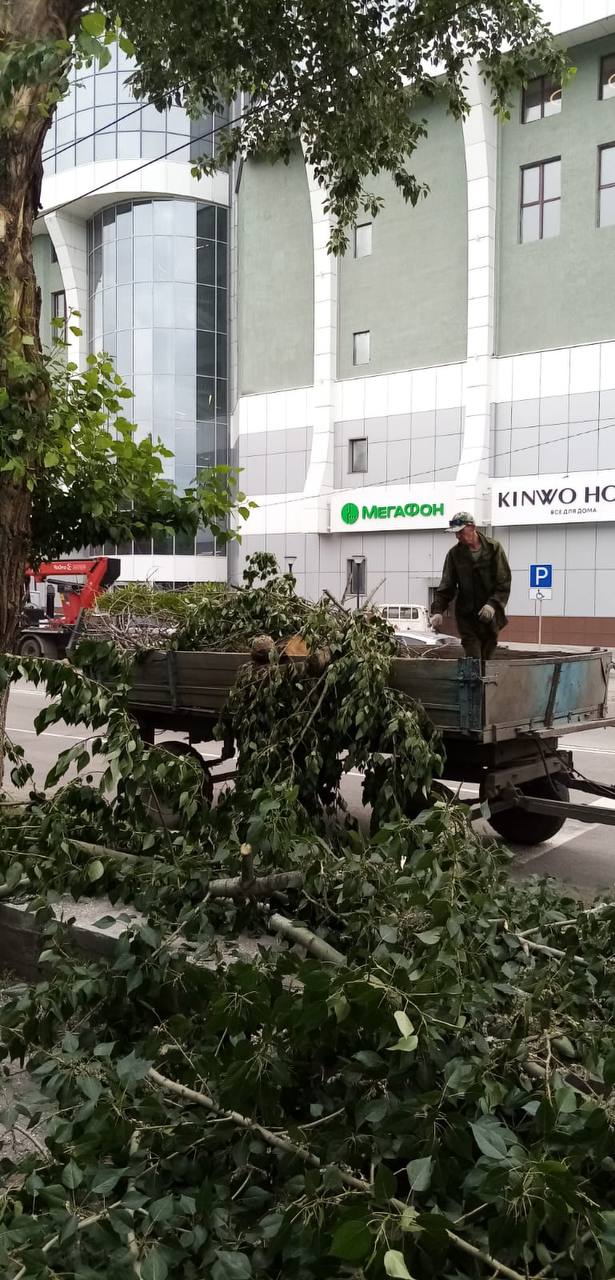 Что оставил после себя циклон? В Благовещенске ликвидируют последствия непогоды Что оставил после себя циклон? В Благовещенске ликвидируют последствия непогоды