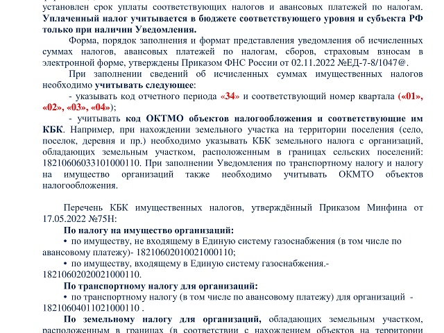 Благовещенским юрлицам нужно отчитаться в налоговой