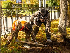 В Благовещенске приступили к осеннему озеленению