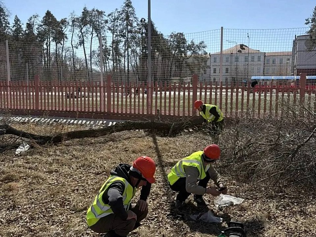 Территорию одной из самых красивых школ Благовещенска огородят новым забором