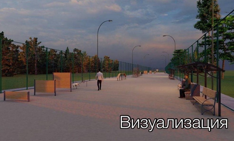 «ТаксАпарк» для всех пород: в Благовещенске появится большая площадка для выгула собак 