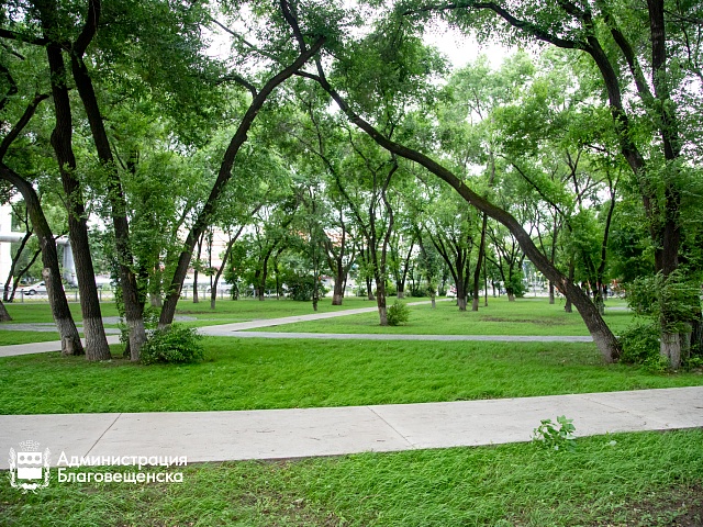 Прогноз погоды в Благовещенске на 19 августа:  Прогноз погоды в Благовещенске на 19 августа: