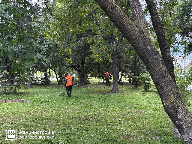 Скверы и магистрали: где в Благовещенске на прошлой неделе косили траву? Скверы и магистрали: где в Благовещенске на прошлой неделе косили траву?
