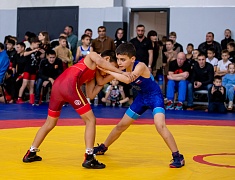 Первенство по вольной борьбе, посвященное памяти бойца СВО Владислава Мазуркова