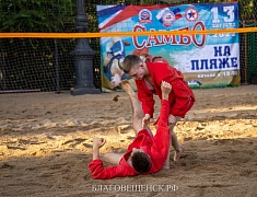 В Благовещенске отпраздновали День физкультурника