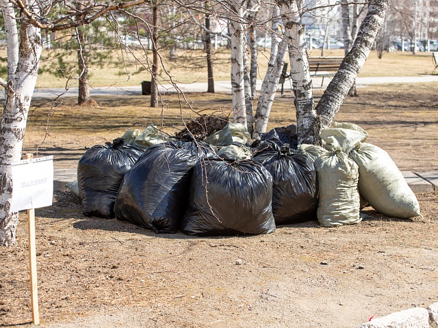 Благовещенцев просят не оставлять мешки с мусором у обочин, а листву использовать как компост  