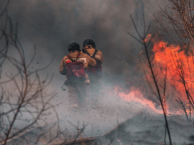 В Приамурье ввели режим ЧС из-за лесных пожаров