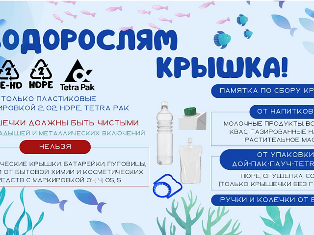 Как из пластиковой крышки получить живую рыбу? Рассказываем