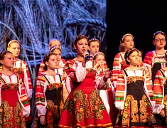 Ведущие коллективы Амурской области провели благотворительный концерт