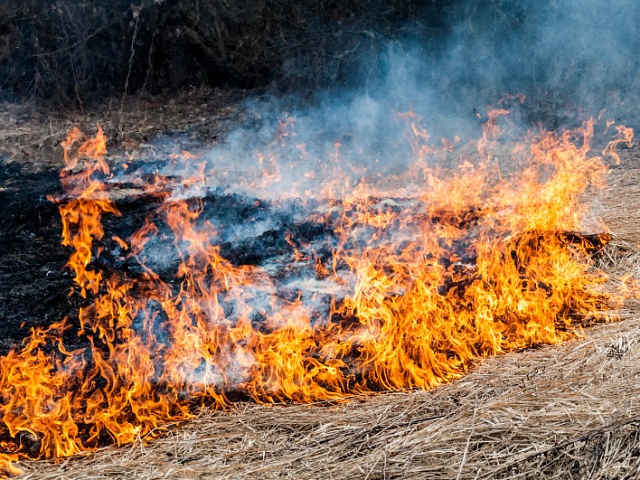 С начала пожароопасного сезона в Приамурье выписали штрафов на 2,5 миллиона рублей