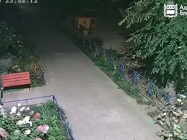 «Художник уголовного дела»: городские полицейские расследуют дело по факту порчи городских зданий и сооружений «Художник уголовного дела»: городские полицейские расследуют дело по факту порчи городских зданий и сооружений