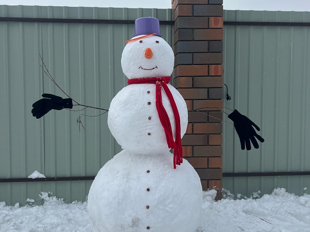 На конкурс для молодых семей «Самый-самый снеговик» уже поступило 10 заявок