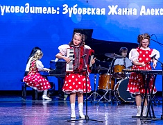 Гала-концерт фестиваля "Амур звучит!"