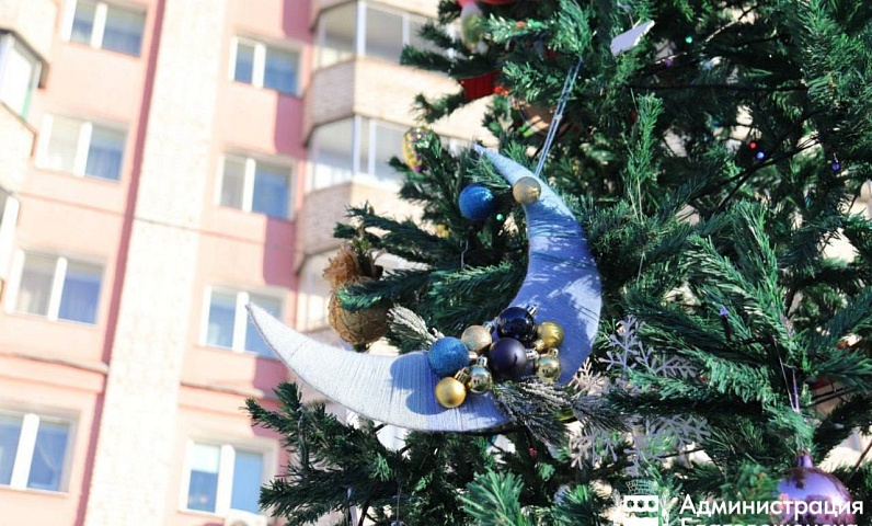 Полсотни благовещенских дворов включились в борьбу за 150 тысяч рублей 