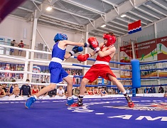 В амурской столице стартовало первенство ДФО по боксу