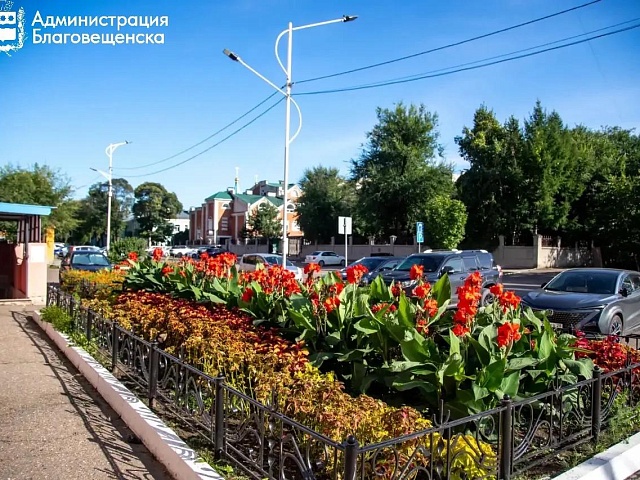 Канны, колеусы, бархатцы: как предприниматели украшают город