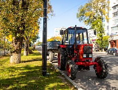 В Благовещенске приступили к осеннему озеленению