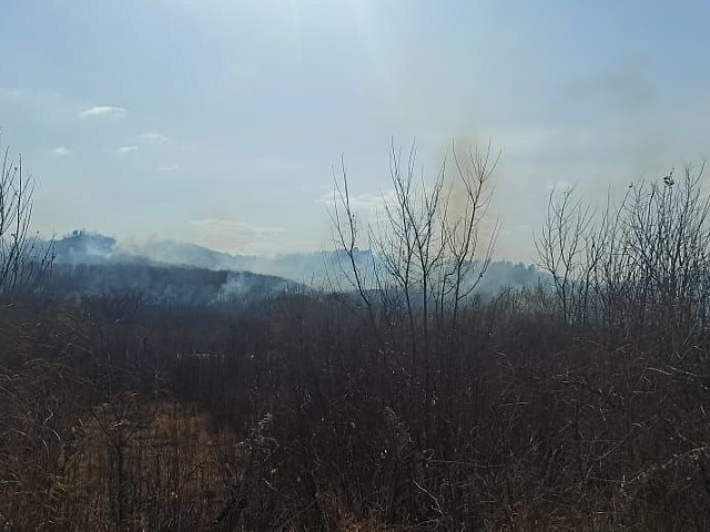 Более десяти возгораний и один лесной пожар потушили за неделю в Благовещенске