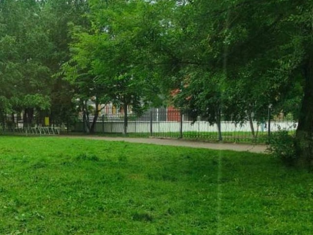 Город становится чище и ухоженнее: где в Благовещенске на этой неделе косят траву?
