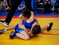 Первенство по вольной борьбе, посвященное памяти бойца СВО Владислава Мазуркова